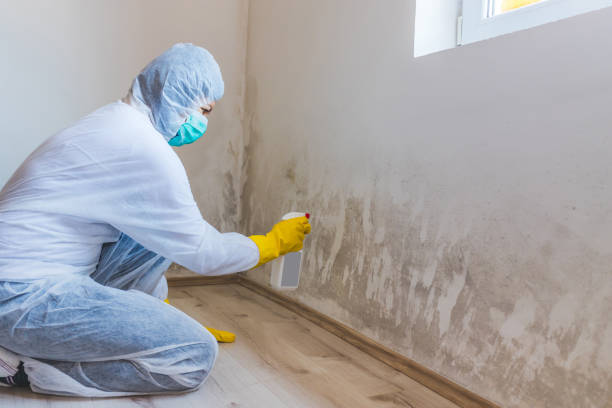Commercial Mold Remediation assessment for commercial property in Gallatin