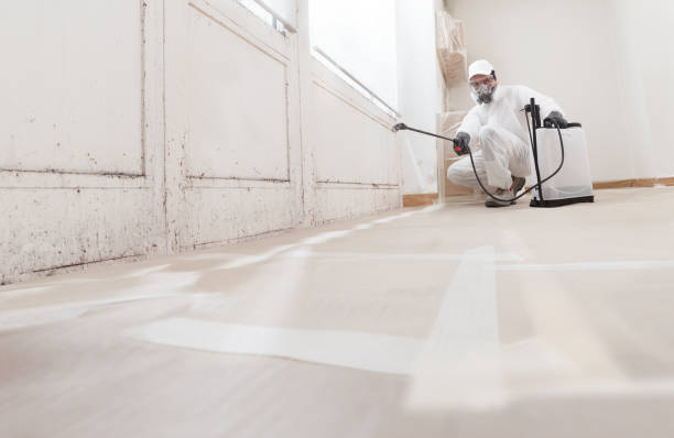 Black mold remediation team in Gallatin